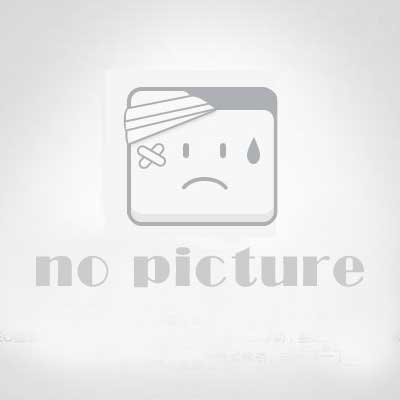 2019年中国大学名单数据库SQL